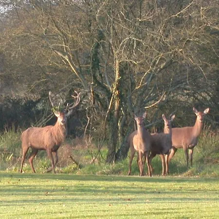 Le Manoir De La Jahotiere فندق أبّاريتْسْ